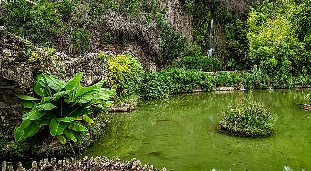 Japanese Tea Gardens in San Antonio Texas